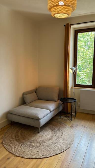 T2 Cocon Avec Balcon Et Parking Lägenhet La Roche-sur-Foron Exteriör bild