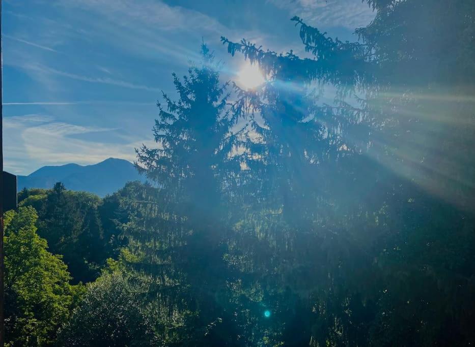 T2 Cocon Avec Balcon Et Parking Lägenhet La Roche-sur-Foron Exteriör bild